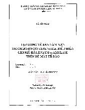 Luận văn Tạo dòng tế bào nấm men Saccharomyces Cerevisiae biểu hiện gen mã hóa Eznym α-Amylase trên bề mặt tế bào