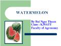 Bài giảng  Watermelon - Dưa hấu