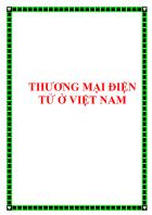 Bài giảng Thương mại điện tử ở Việt Nam