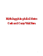Hệ thống phân phối sỉ Metro Cash and Carry Việt Nam