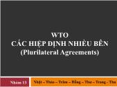 WTO các hiệp định nhiều bên (plurilateral agreements)