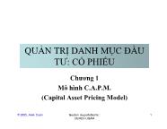 Bài giảng Mô hình C.A.P.M. (Capital Asset Pricing Model)