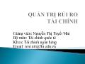 Bài giảng Quản trị rủi ro tài chính - Nguyễn Thị Tuyết Mai
