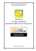 Bài giảng Tin học văn phòng - Microsoft Office Excel Specialist