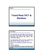 Lập trình Lập trình VB.Net 2005 - Visual Basic.NET & Database