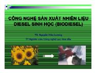 Công nghệ sản xuất nhiên liệu diesel sinh học (biodiesel)
