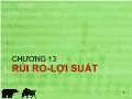 Chương 13 Rủi ro - Lợi suất