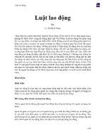 Luật lao động - Lê Thị Bích Ngọc