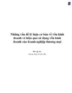 Những vấn đề lý luận cơ bản về vốn kinh doanh và hiệu quả sử dụng vốn kinh doanh của doanh nghiệp thương mại