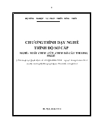 Chương trình dạy nghề trình độ sơ cấp nghề: Nuôi chim cút, chim bồ câu thương phẩm