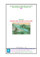 Chuyên đề Phương pháp xác định lưu vực sông
