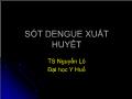 Bài giảng Sốt Dengue xuất huyết - Nguyễn Lô