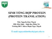 Sinh tổng hợp Protein (Protein translation)