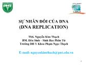 Sự nhân đôi của DNA (DNA Replication)