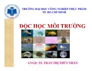 Bài giảng Chương 4: Độc học môi trường không khí