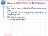 Bài giảng Chương 4: Hiện tượng tự tương quan