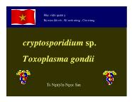 Bài giảng Cryptosporidium sp. Toxoplasma gondii