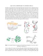 Bài giảng Đại cương cơ sở hóa học của sinh học phân tử