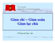 Bài giảng Giun chỉ – Giun soắn Giun lạc chủ