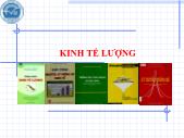 Bài giảng Kinh tế lượng (tiếp)