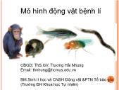 Bài giảng Mô hình động vật bệnh lí