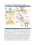 Bài giảng Nhóm thụ thể Tyrosine Kinase: (Tyrosine kinase receptors)