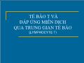 Bài giảng Tế bào t và đáp ứng miễn dịch qua trung gian tế bào  (lymphocyte t)