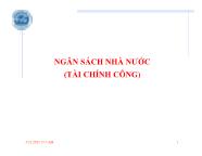 Ngân sách nhà nước (tài chính công)