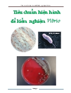 Tiểu luận Tiêu chuẩn hiện hành để kiểm nghiệm Vibrio