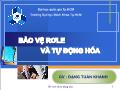 Bài giảng Bảo vệ rơle và tự động hóa - Chương 3 Các loại rơle