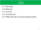 Bài giảng Lipid