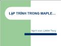 Bài giảng Maple - Bài 8 Lập trình trong Maple (2)