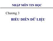 Bài giảng Nhập môn tin học - Chương 3 Biểu diễn dữ liệu