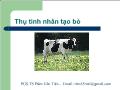 Bài giảng Thụ tinh nhân tạo bò