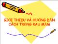 Giới thiệu và hướng dẫn cách trồng rau mầm