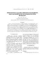Investigation of calcium carbonate scale inhibition and scale morphology by scanning electron microscopy