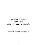 Bài giảng Chuyên đề Bệnh học: viêm cột sống dính khớp