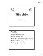 Bài giảng Tiêu chảy