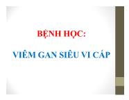 Bệnh học: Viêm gan siêu vi cấp