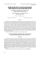 Khả năng sản xuất của vịt CV Super M ông bà nuôi trên khô, không cần nước bơi lội tại học viện nông nghiệp Việt Nam