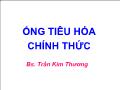 Ống tiêu hóa chính thức