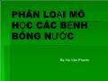 Phân loại mô học các bệnh bóng nước