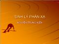 Sinh lý phản xạ