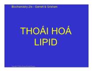 Thoái hoá lipid