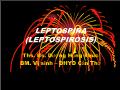 Leptospira (leptospirosis)