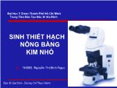 Sinh thiết hạch nông bằng kim nhỏ