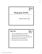 Tổng quan về HIV