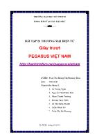 Bài tập B: Thương mại điện tử giày trượt pegasus Việt Nam