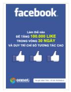 Internet Marketing - Facebook: Làm thế nào để tăng 100.000 like trong vòng 30 ngày và duy trì chỉ số tương tác cao