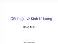 Kinh tế học - Giới thiệu về Kinh tế lượng